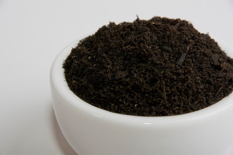 Rohstoffe Kompost Produkt Substratkompost
