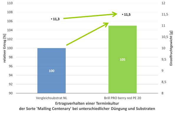 Ertragsverhalten einer Terminkultur Erdbeeren im geschützten Anbau Sorte Malling Centenary