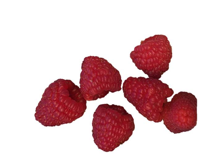 Himbeeren Substrate - gute Ernte